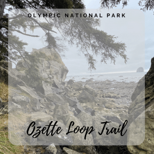 Ozette Loop Trail