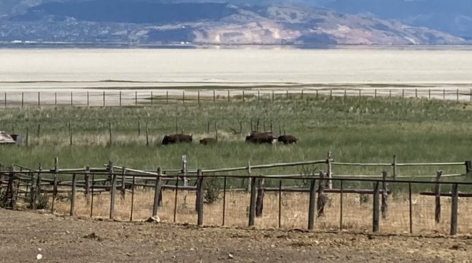 Antelope Island