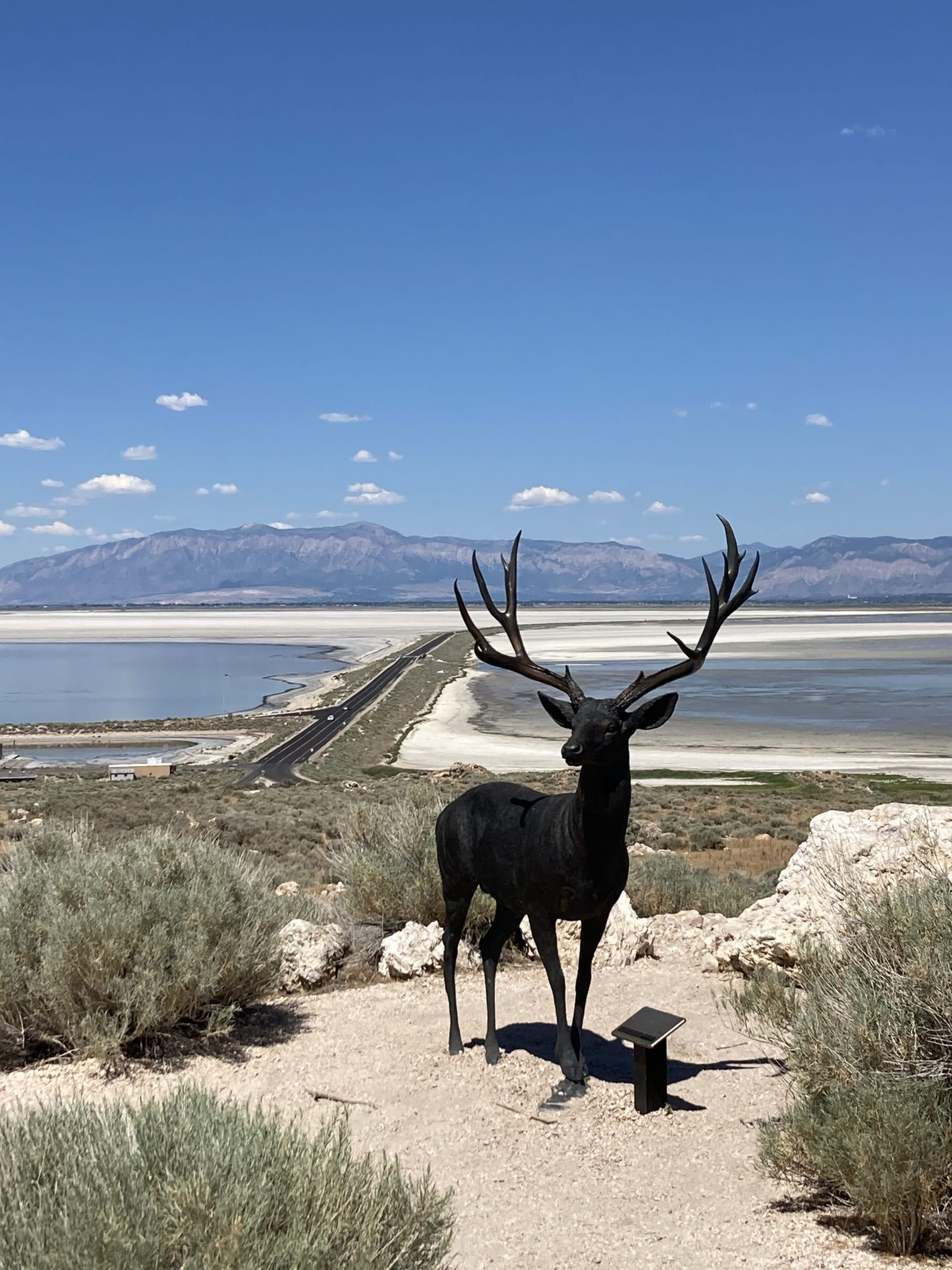You can drive over a causeway to get to Antelope Island. It's a great day trip from Salt Lake City and a perfect way to spend the day with nature.