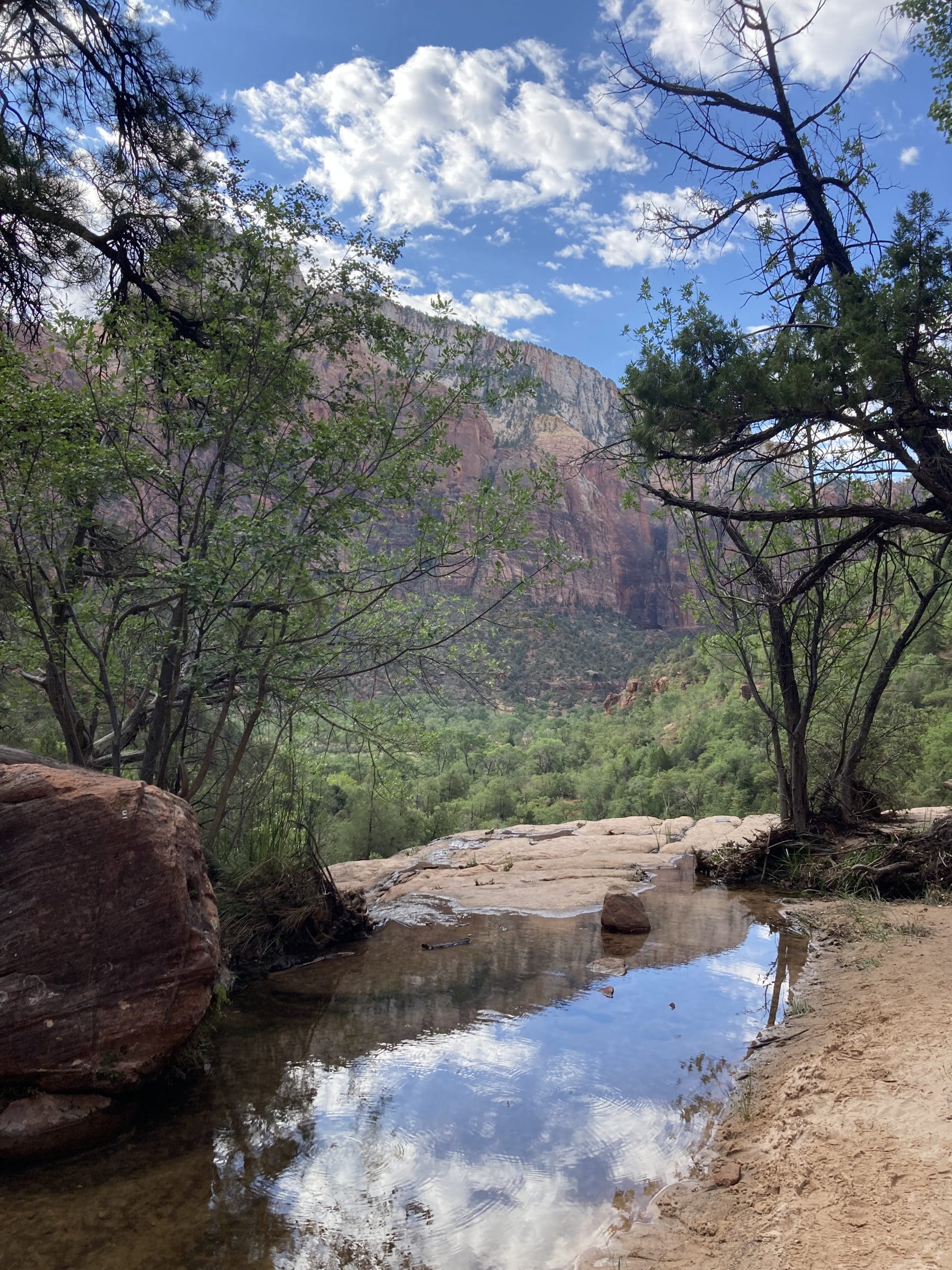 The view at the Middle Emerald Pool was outstanding.