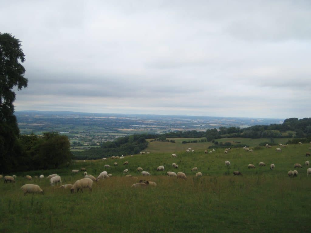 A Cotswolds Walk